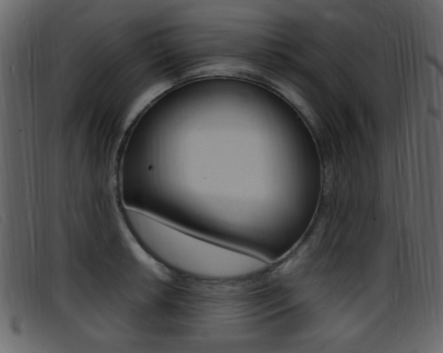 X0000096651042200802050929