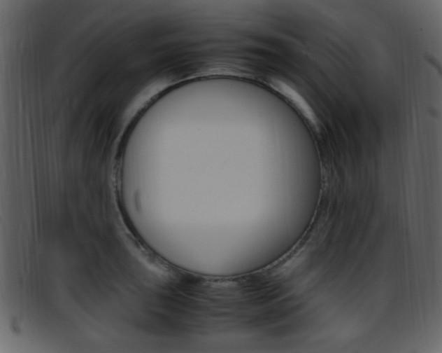X0000096651043200802050929