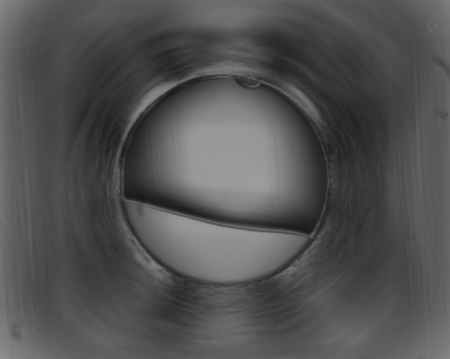 X0000096651044200802050929