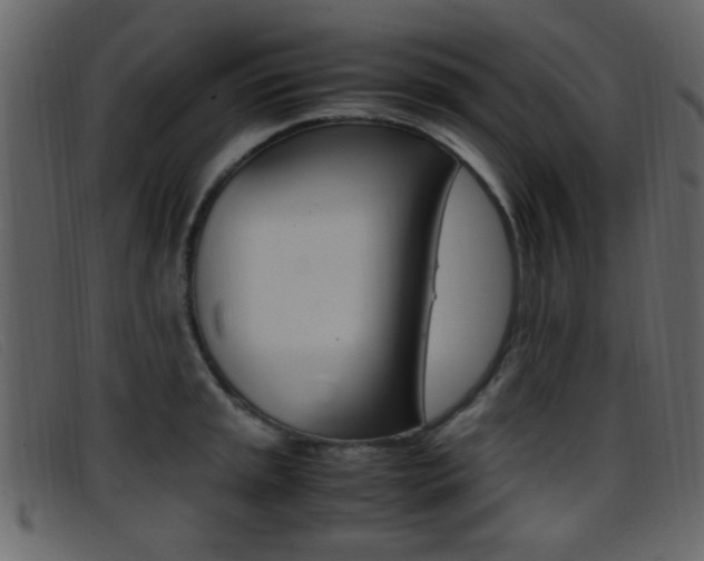 X0000096651045200802050929