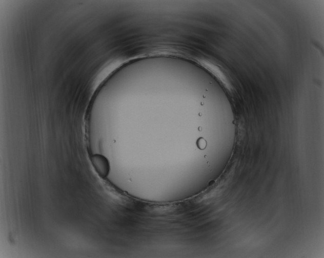 X0000096651047200802050929