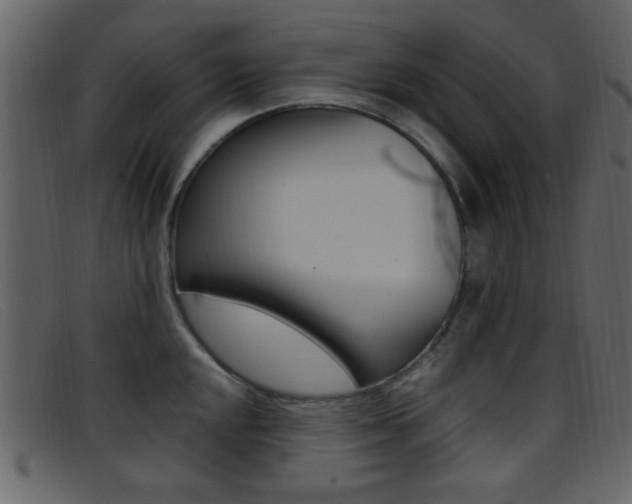 X0000096651048200802050929