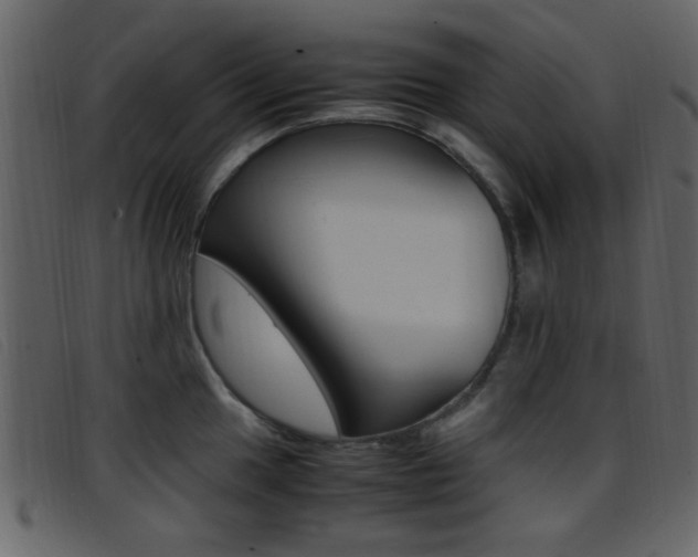 X0000096651049200802050929