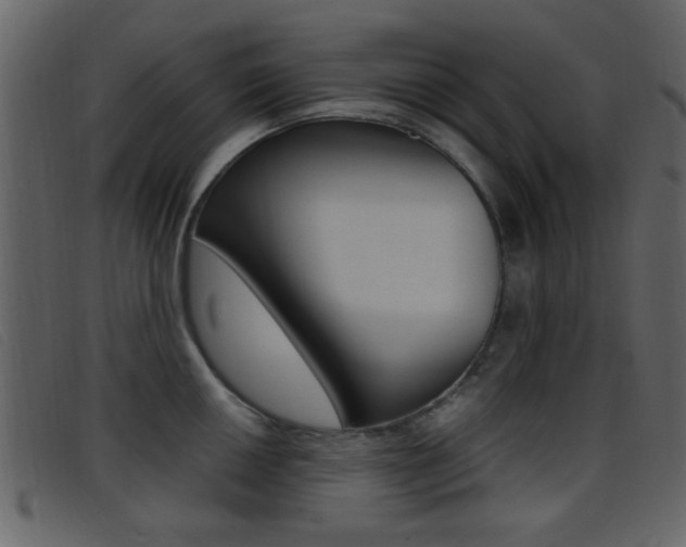X0000096651050200802050929