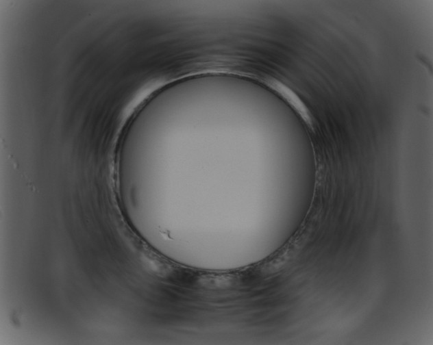 X0000096651051200802050929