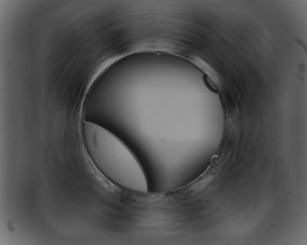 X0000096651052200802050929