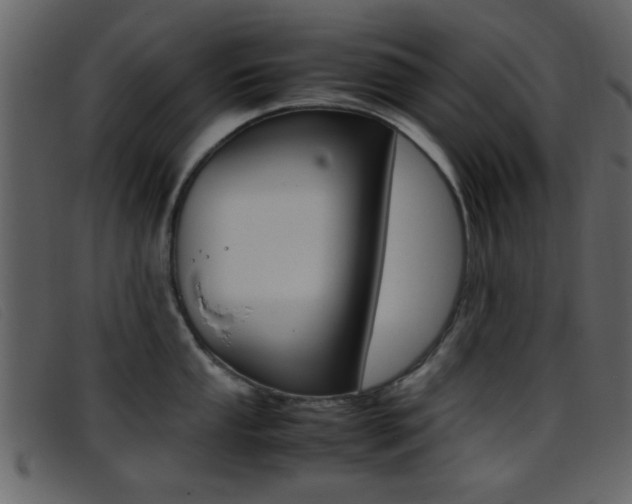 X0000096651053200802050929