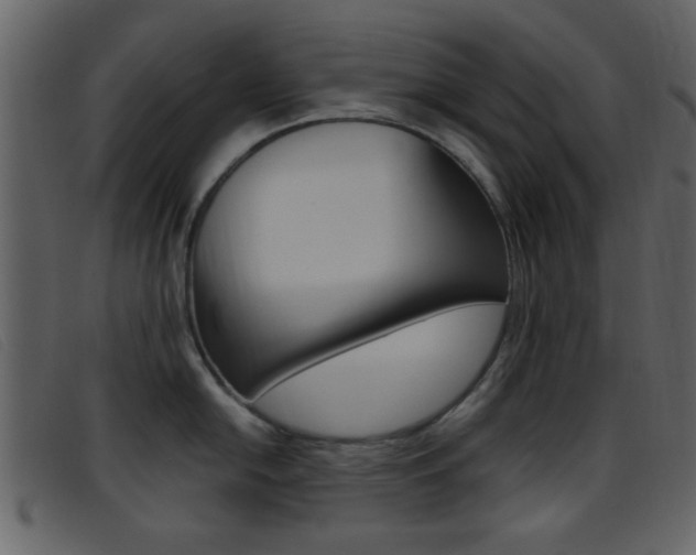 X0000096651054200802050929
