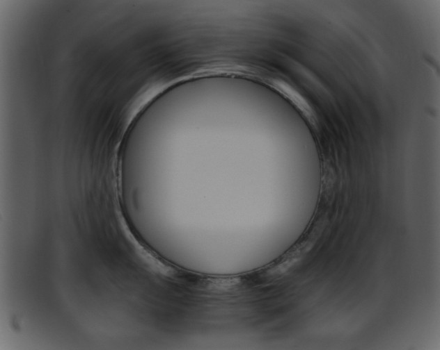 X0000096651055200802050929