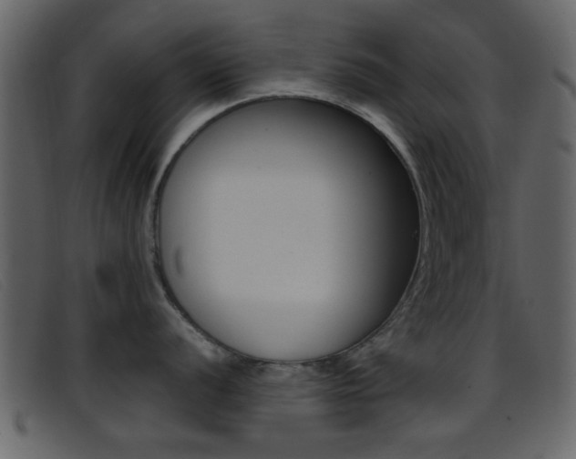 X0000096651056200802050929