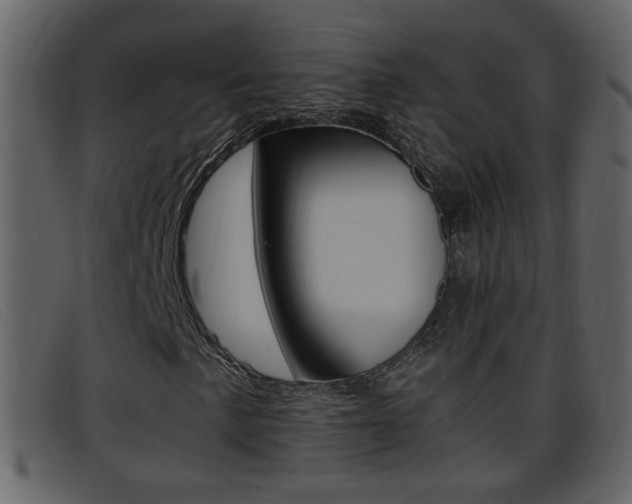 X0000096651057200802050929