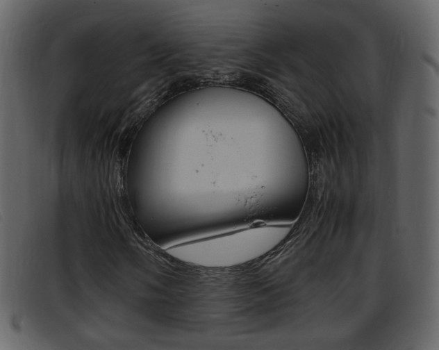 X0000096651058200802050929
