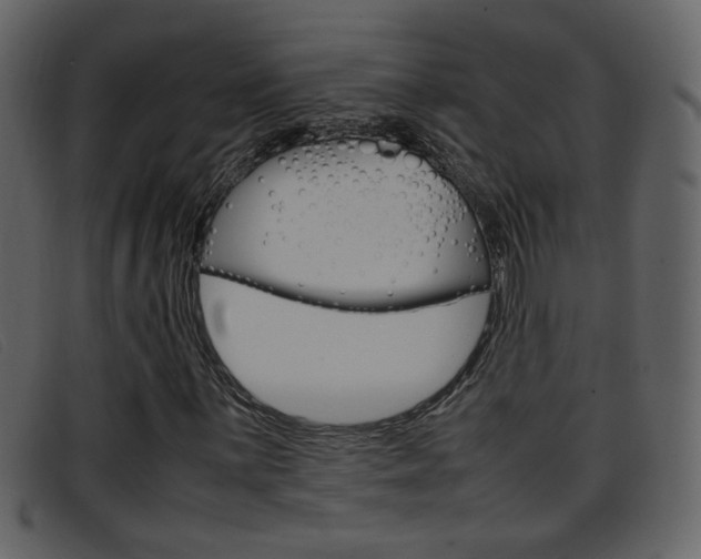 X0000096651059200802050929