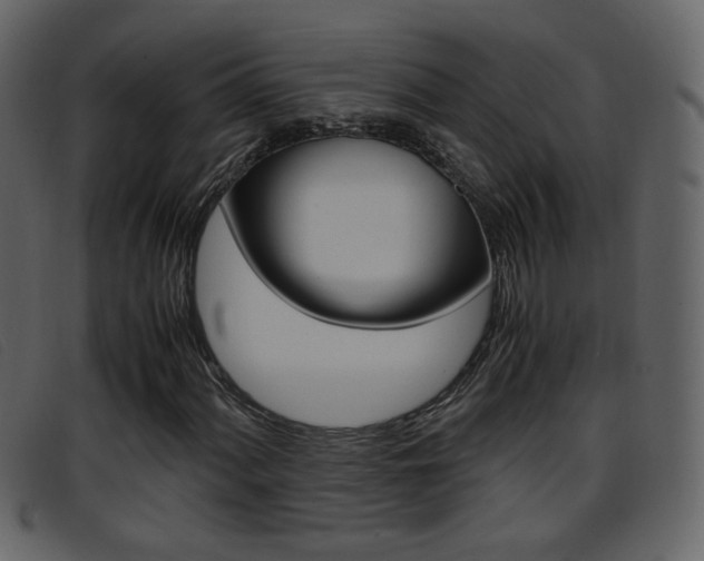 X0000096651060200802050929