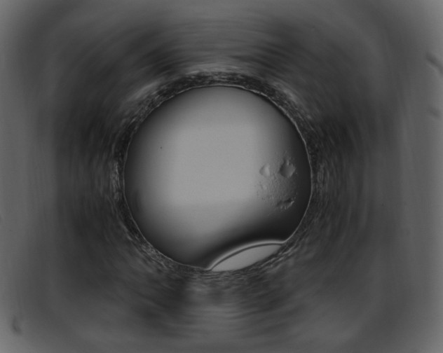 X0000096651062200802050929