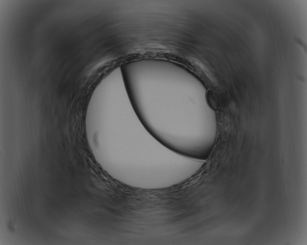 X0000096651063200802050929