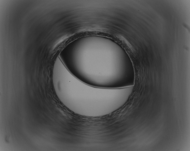 X0000096651064200802050929