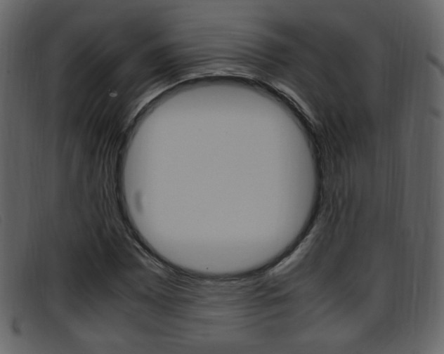 X0000096651065200802050929