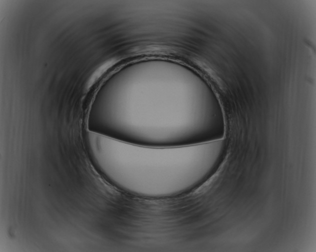 X0000096651066200802050929
