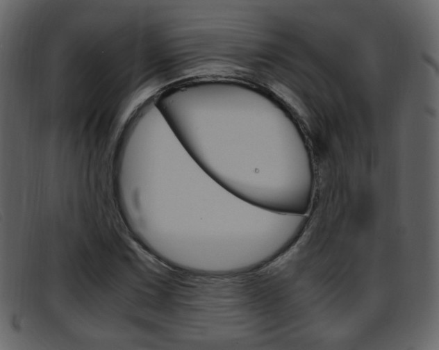 X0000096651067200802050929