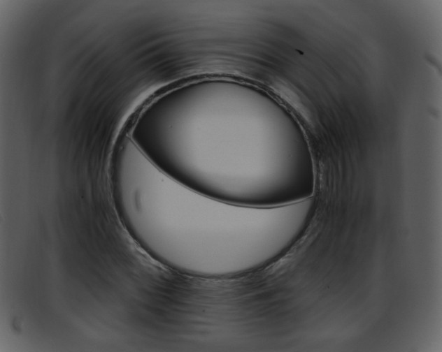 X0000096651068200802050929