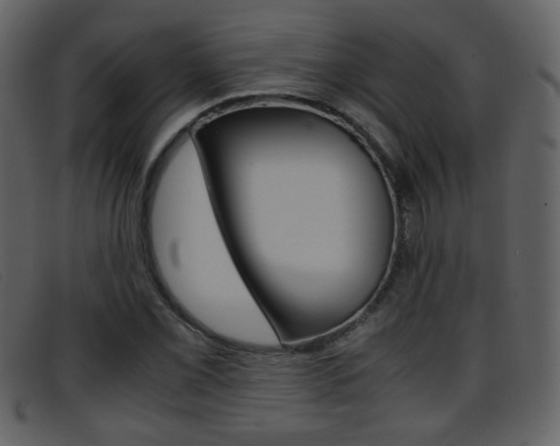 X0000096651069200802050928