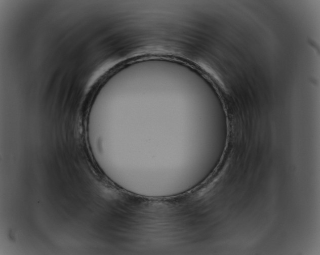 X0000096651070200802050928
