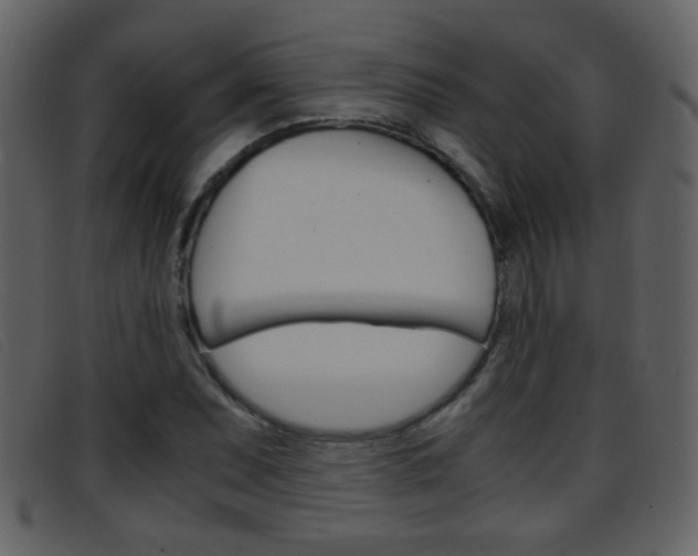 X0000096651071200802050928