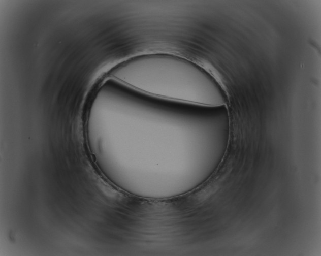X0000096651072200802050928