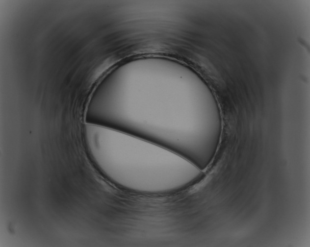 X0000096651073200802050928