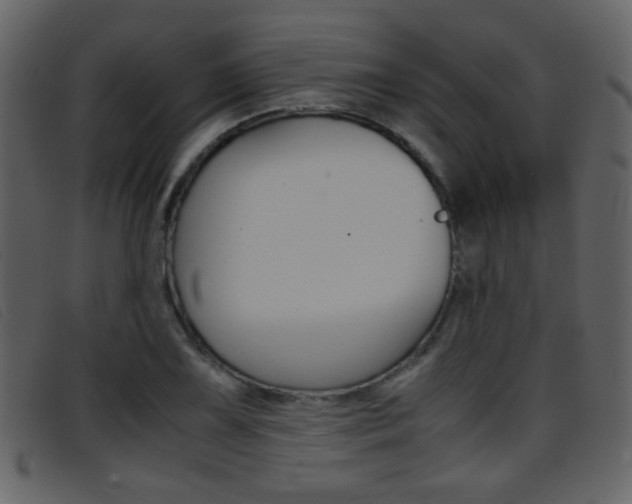 X0000096651075200802050928