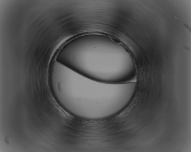 X0000096651076200802050928