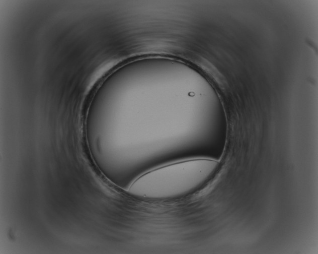 X0000096651077200802050928