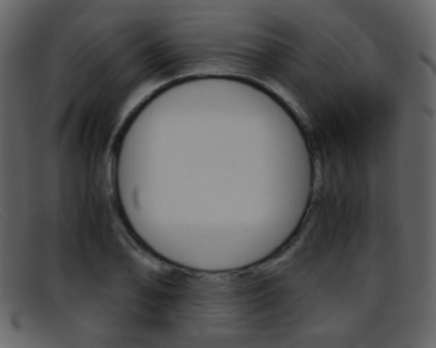 X0000096651078200802050928