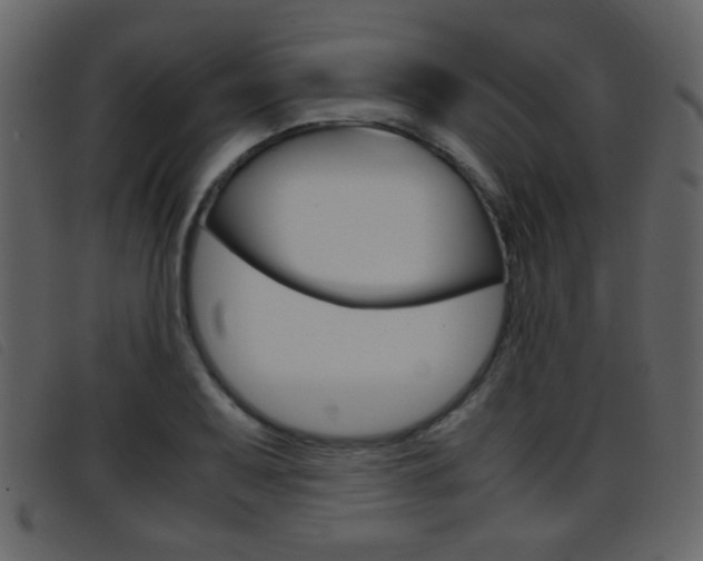 X0000096651079200802050928