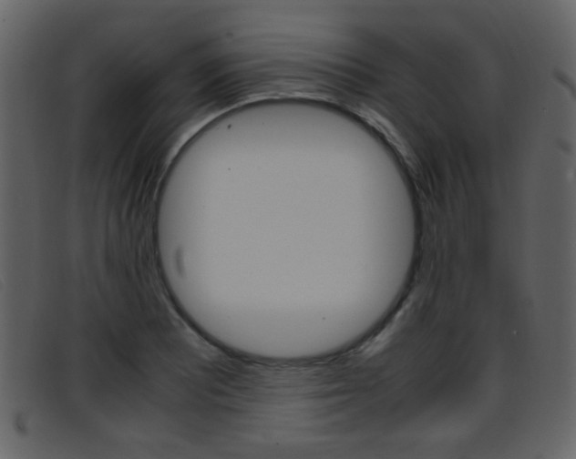 X0000096651081200802050928