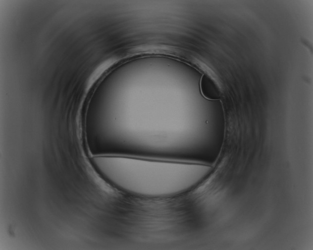 X0000096651082200802050928