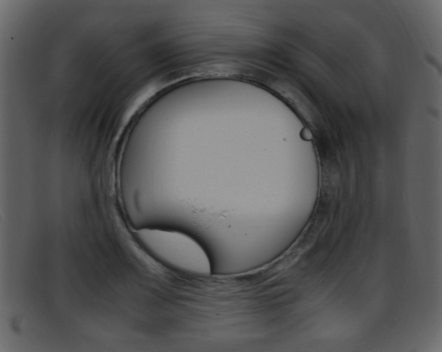 X0000096651083200802050928