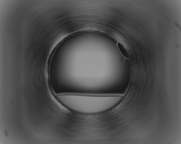 X0000096651084200802050928
