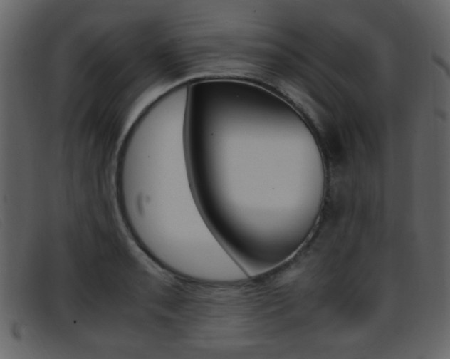 X0000096651085200802050928