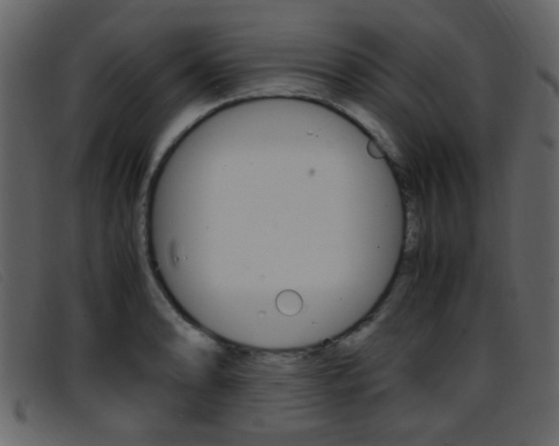 X0000096651086200802050928