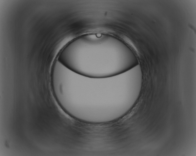 X0000096651087200802050928