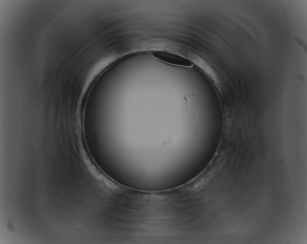 X0000096651088200802050928
