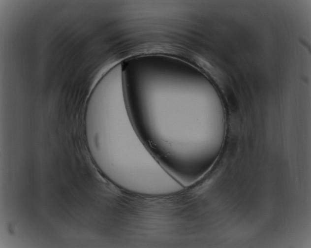 X0000096651089200802050928