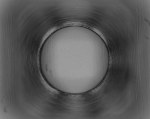X0000096651090200802050928