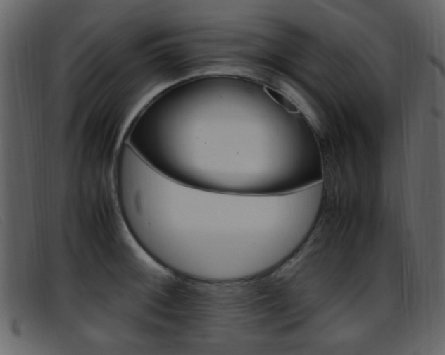 X0000096651092200802050928