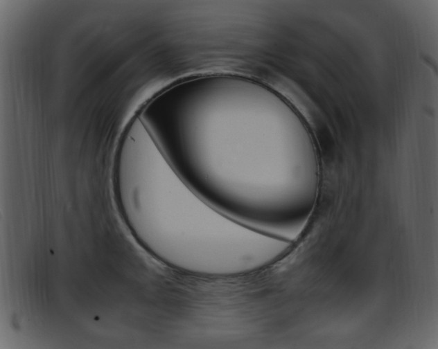X0000096651093200802050928