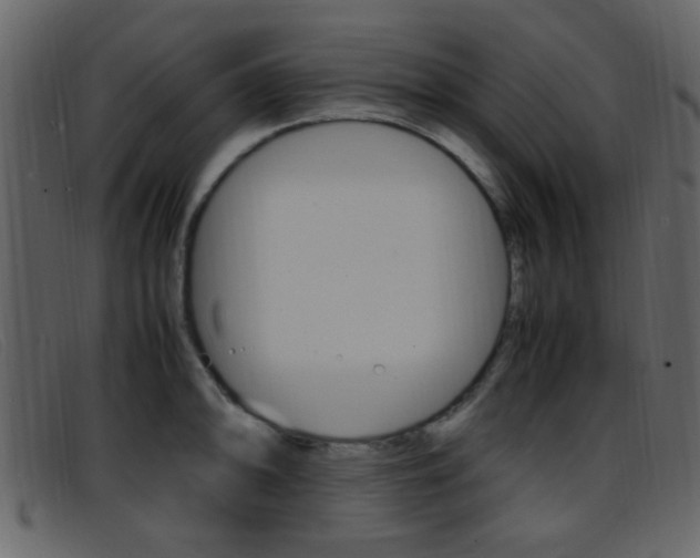 X0000096651094200802050928
