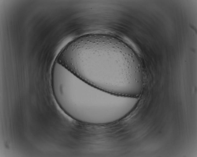 X0000096651095200802050928