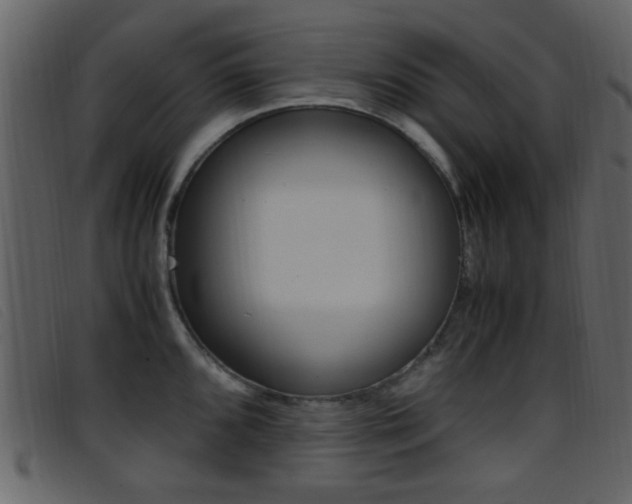 X0000096651096200802050928